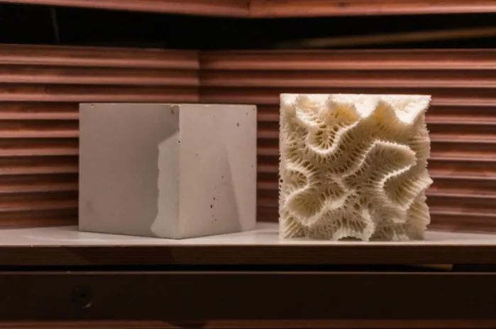 3D 打印混凝土人工魚礁，幫助修復(fù)海洋珊瑚礁生態(tài)環(huán)境 圖片
